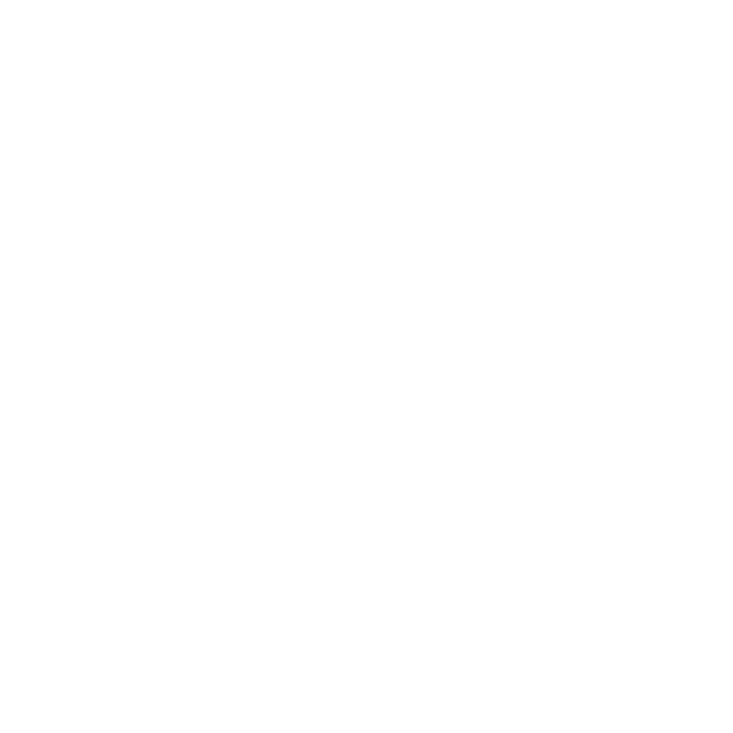 Special Projects Division