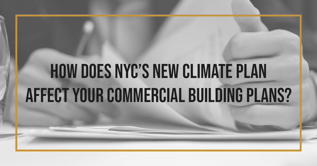 nys climate plan