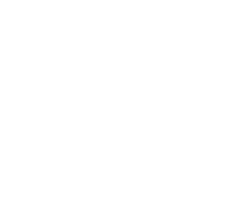 Hen Icon Service&Maintenance